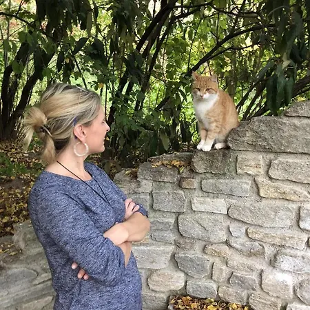 Goldsberghof Pöllauberg