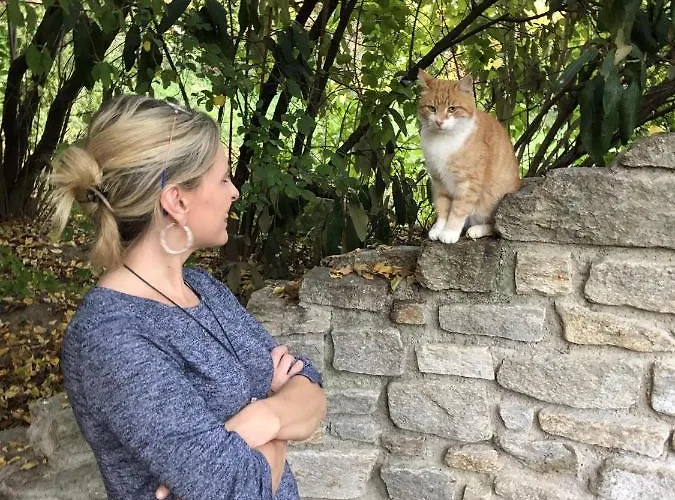 Goldsberghof Pöllauberg